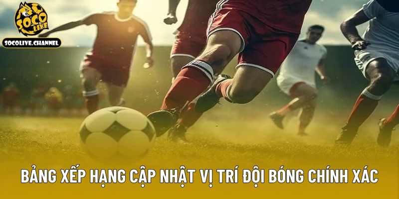 Bảng xếp hạng cập nhật vị trí đội bóng chính xác