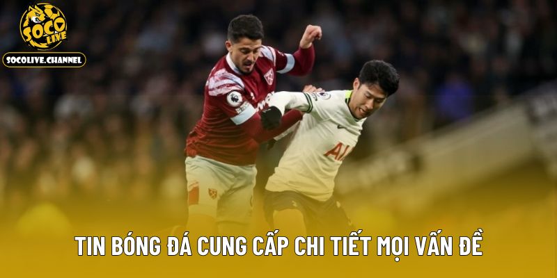 Tin bóng đá cung cấp chi tiết mọi vấn đề