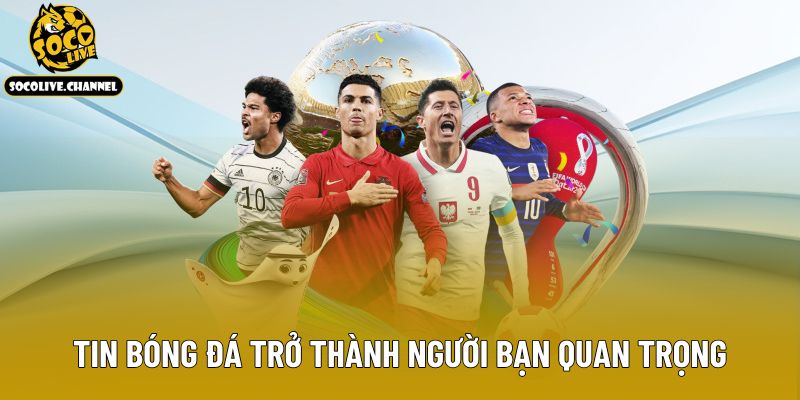 Tin bóng đá trở thành người bạn quan trọng